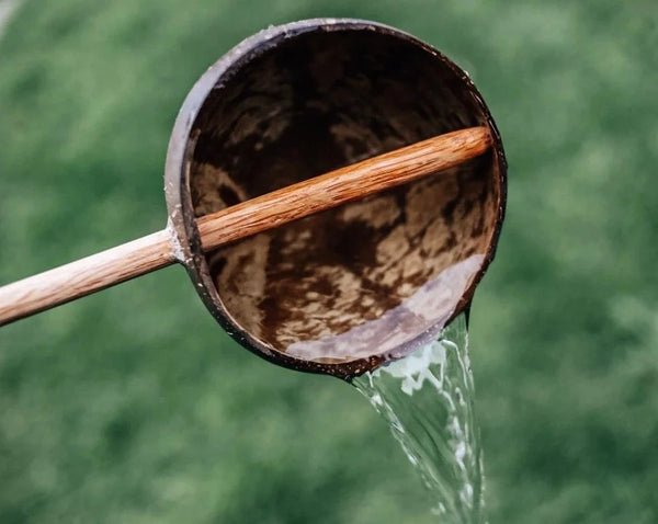 Montessori Coconut Scoop used with water - Learning Island