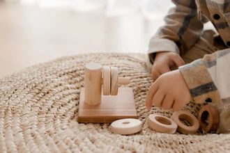 Horizontal Montessori Wooden Sorting close-up use detail - Learning Island