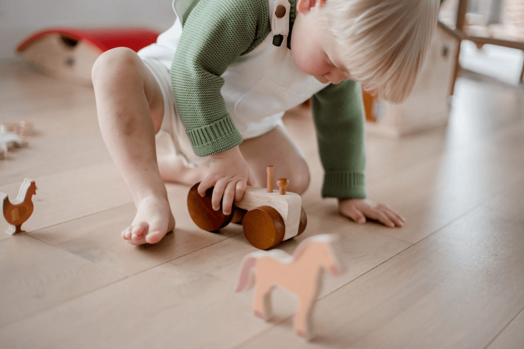 Montessori, Wooden, and Eco-Friendly Toys Farm animals - Learning Island